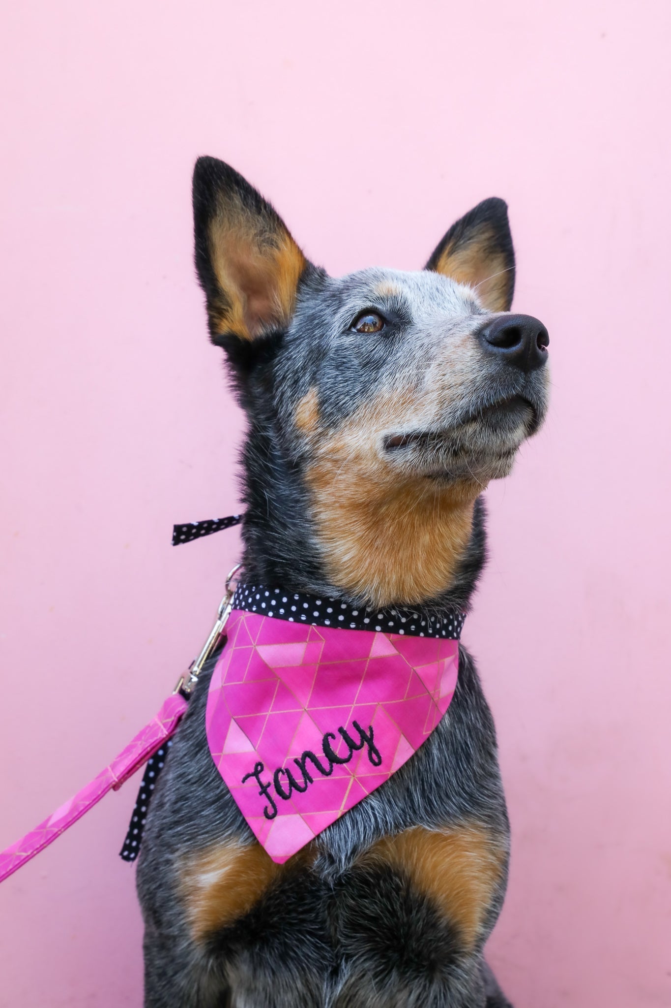 Personalized Double Sided Bandana | Daisy & Magenta Geo Bandana | Duke & Fox®