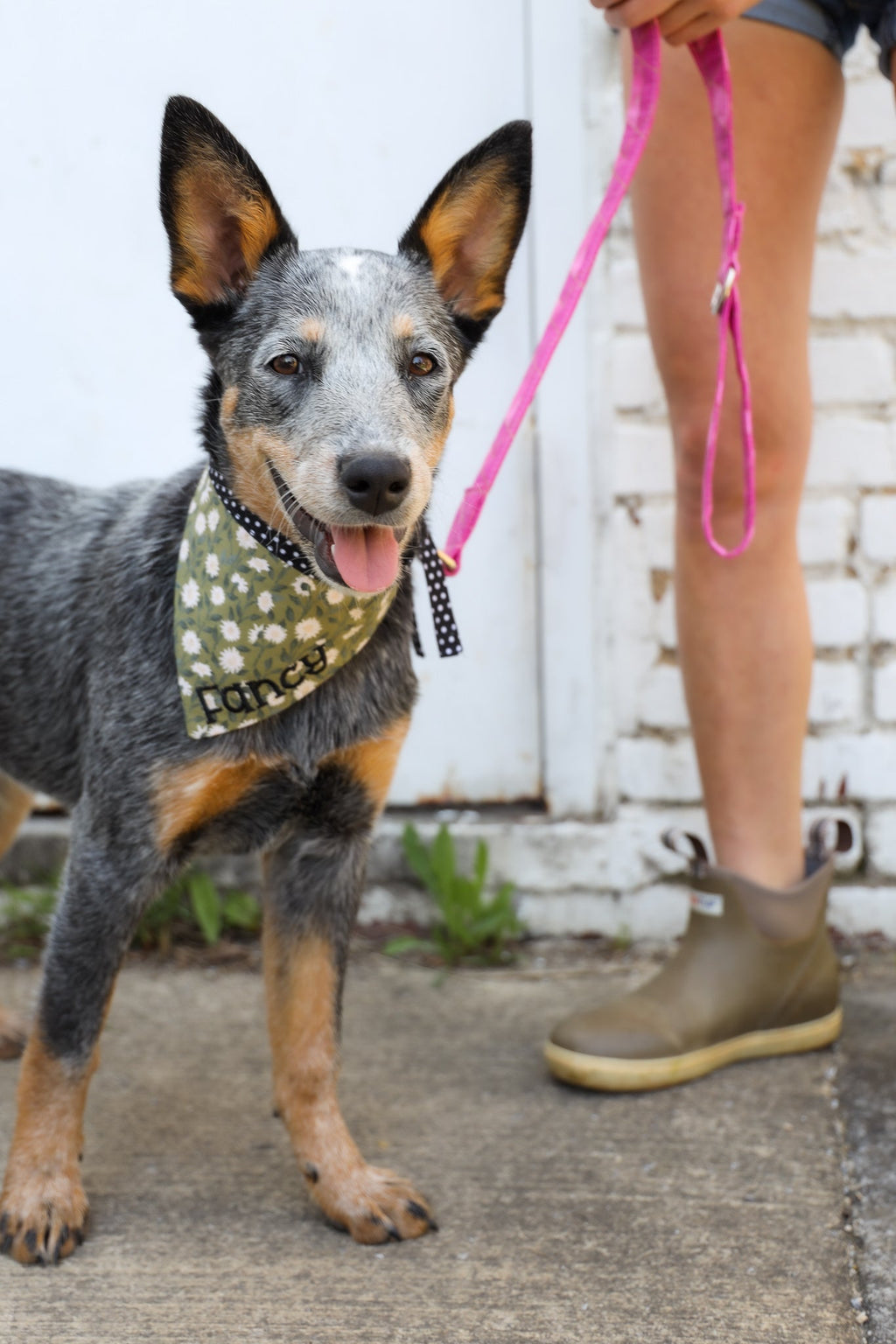Personalized Double Sided Bandana | Daisy & Magenta Geo Bandana | Duke & Fox®