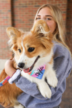 Personalized Double Sided Bandana | Sunflower & Abstract Bandana | Duke & Fox®
