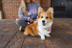 Personalized Double Sided Bandana | Spring & Summer Bandana | Duke & Fox®
