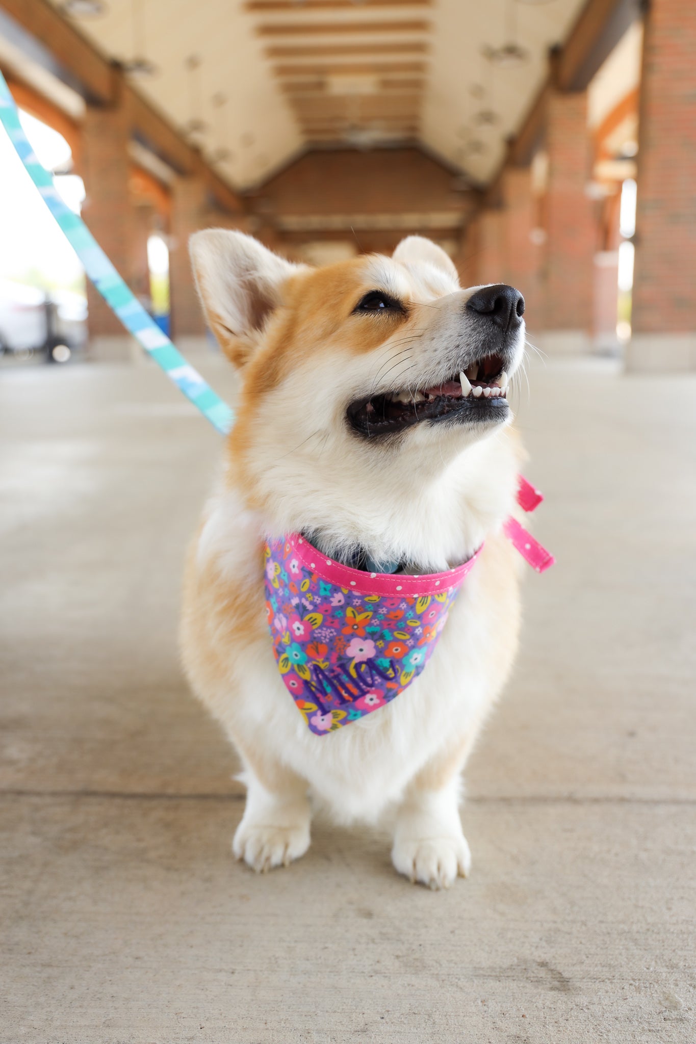 Personalized Double Sided Bandana | Floral & Geometic Bandana | Duke & Fox®