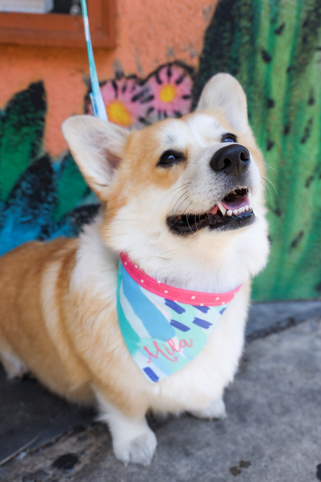 Personalized Double Sided Bandana | Floral & Geometic Bandana | Duke & Fox®