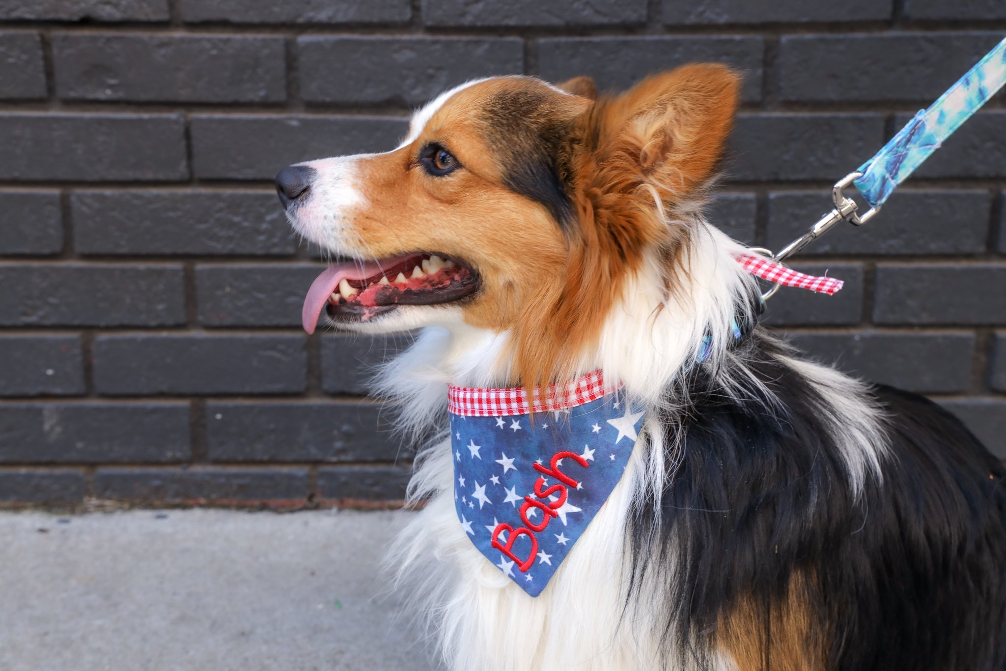Double Sided Bandana - 4th of July & Fishing Lures