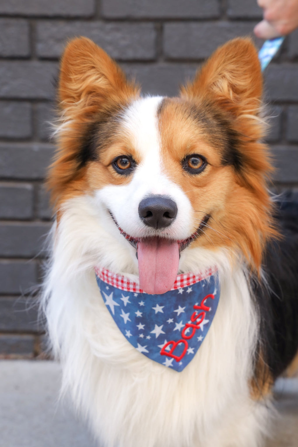 Double Sided Bandana - 4th of July & Fishing Lures