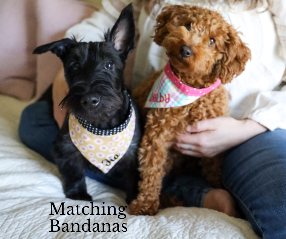 Add a matching bandana