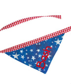 Double Sided Bandana - 4th of July & Fishing Lures