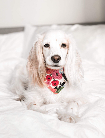 Personalized Double Sided Bandana - Spring & Summer