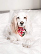 Personalized Double Sided Bandana - Spring & Summer