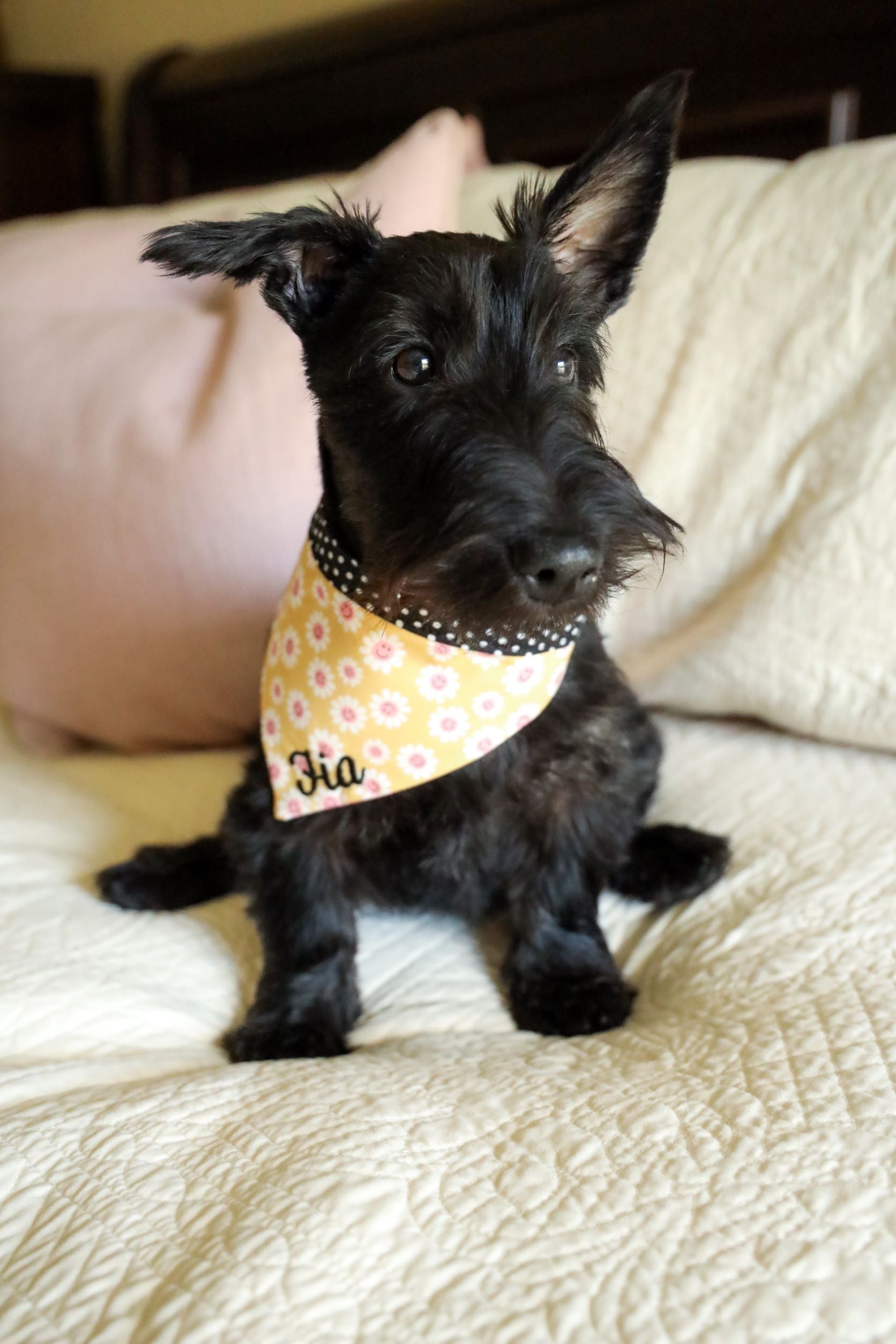 Personalized Double Sided Bandana | Smiley Daisy & Magenta Geo Bandana | Duke & Fox®