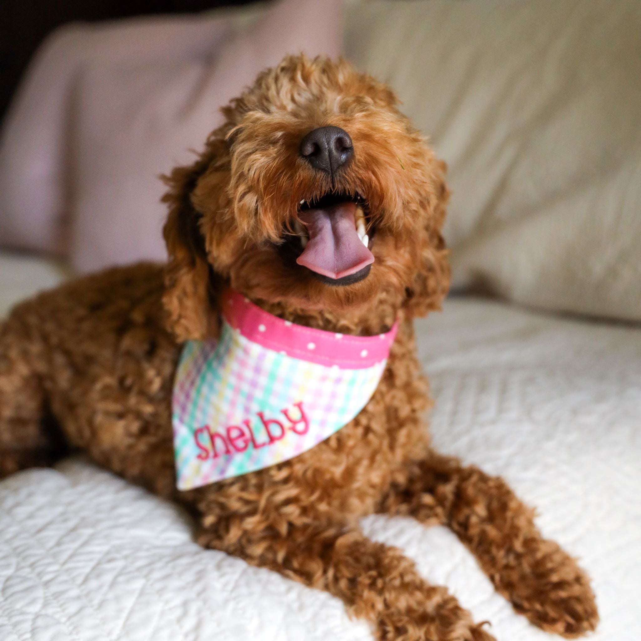 Personalized Double Sided Bandana | St. Patrick's Day & Easter Bandana | Duke & Fox®