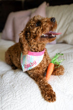 Personalized Double Sided Bandana - St. Patrick's Day & Easter