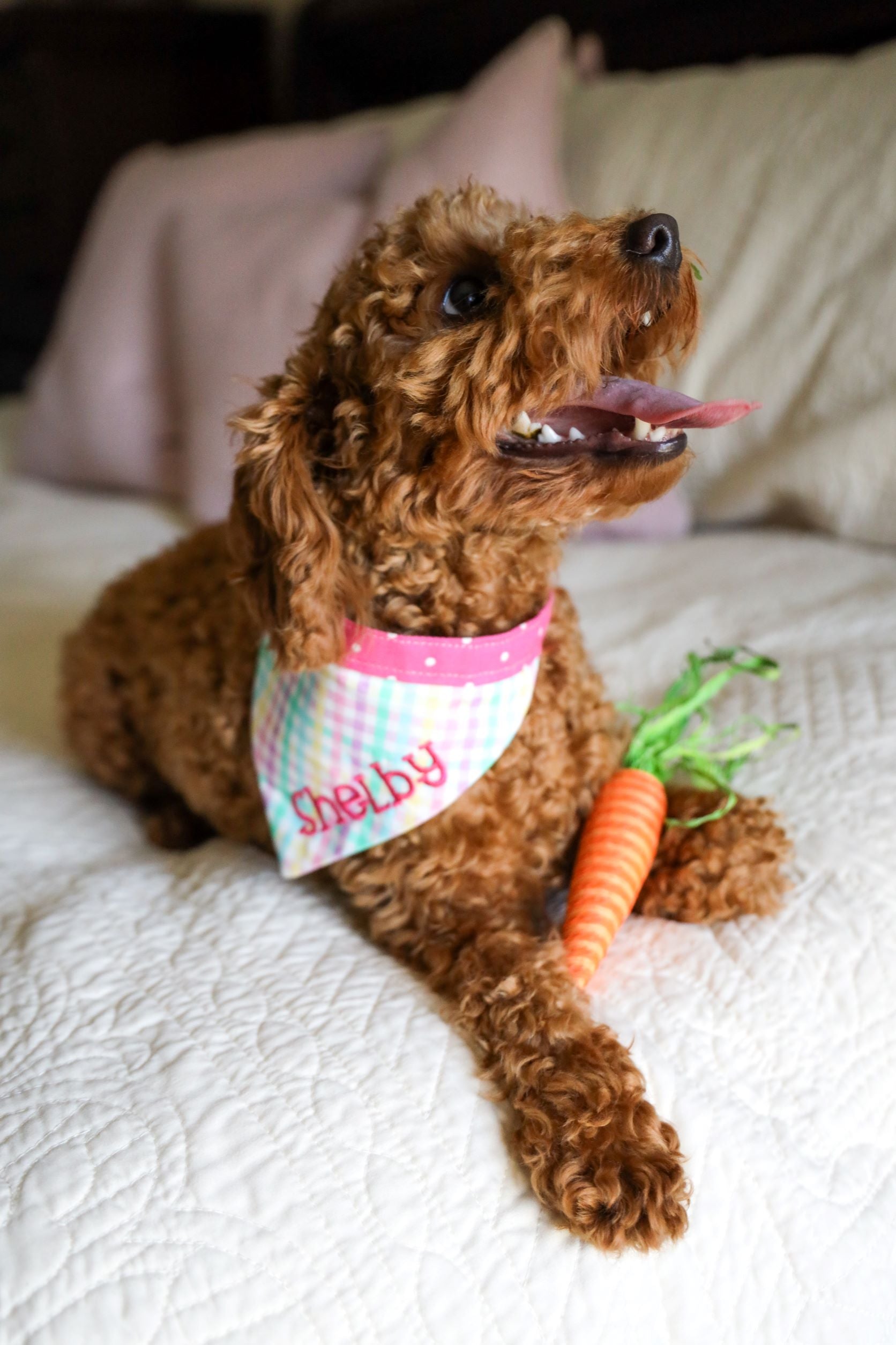 Personalized Double Sided Bandana - St. Patrick's Day & Easter