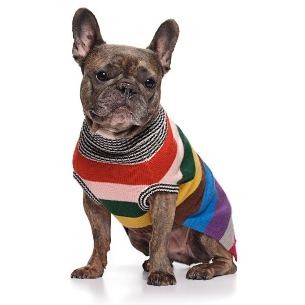 Val-Frenchie-Mafia_0849