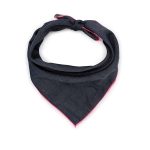 bandana5