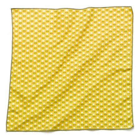 Retro Tulip Bandana